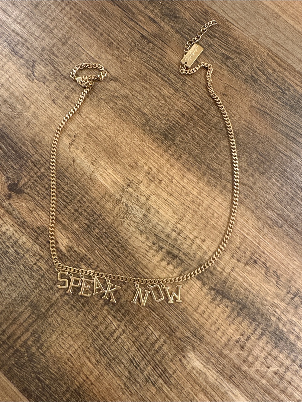 ORIGINAL Taylor Swift Speak Now Necklace The Old Taylor Collection